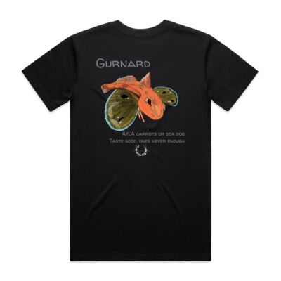 The Gurnard - AS Colour Mens Staple V Neck Tee Thumbnail